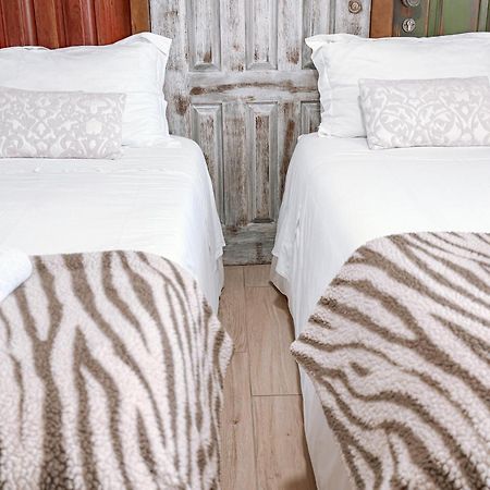 Ninho D'Arara Bed & Breakfast Tondela Dış mekan fotoğraf