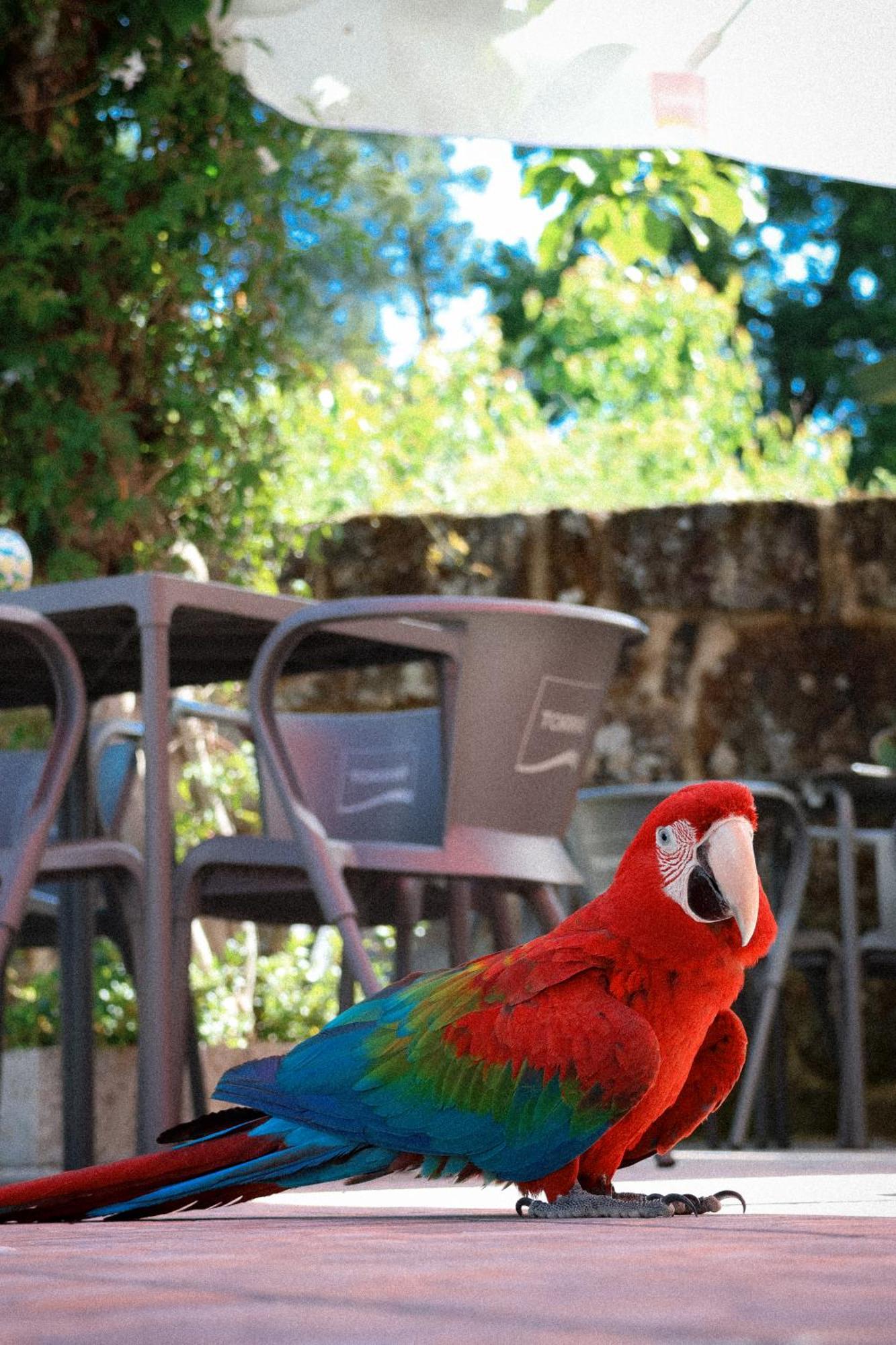 Ninho D'Arara Bed & Breakfast Tondela Dış mekan fotoğraf